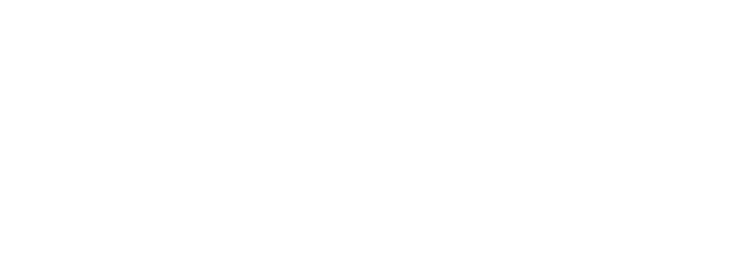BEMO - Microsoft Competencies