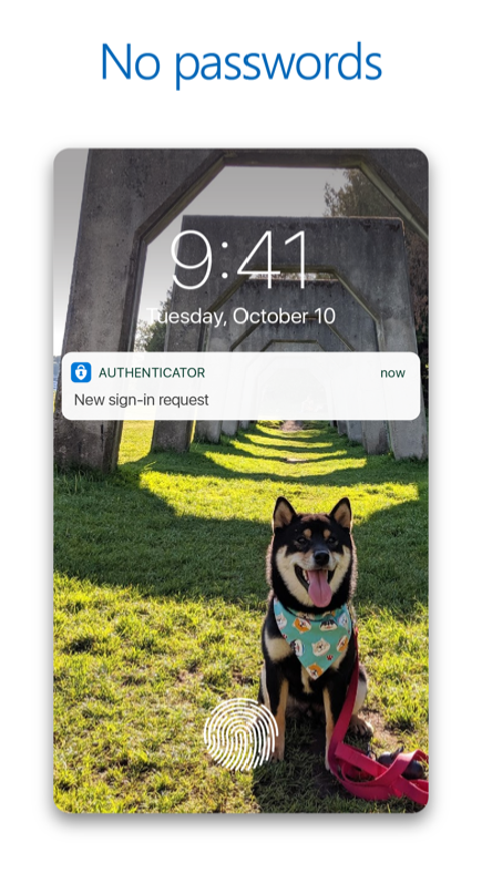 Microsoft Authenticator App No Passwords