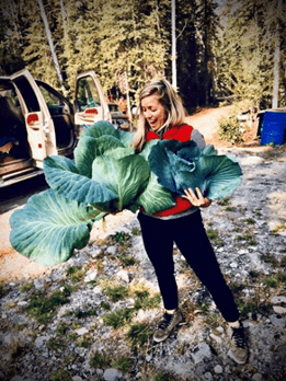 Julia Chester's cabbages