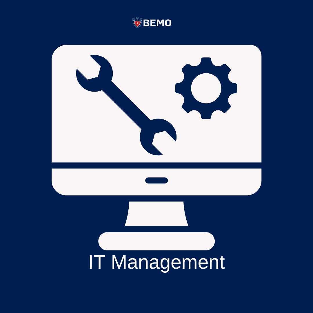 it management