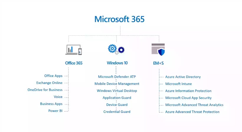 microsoft 365 features