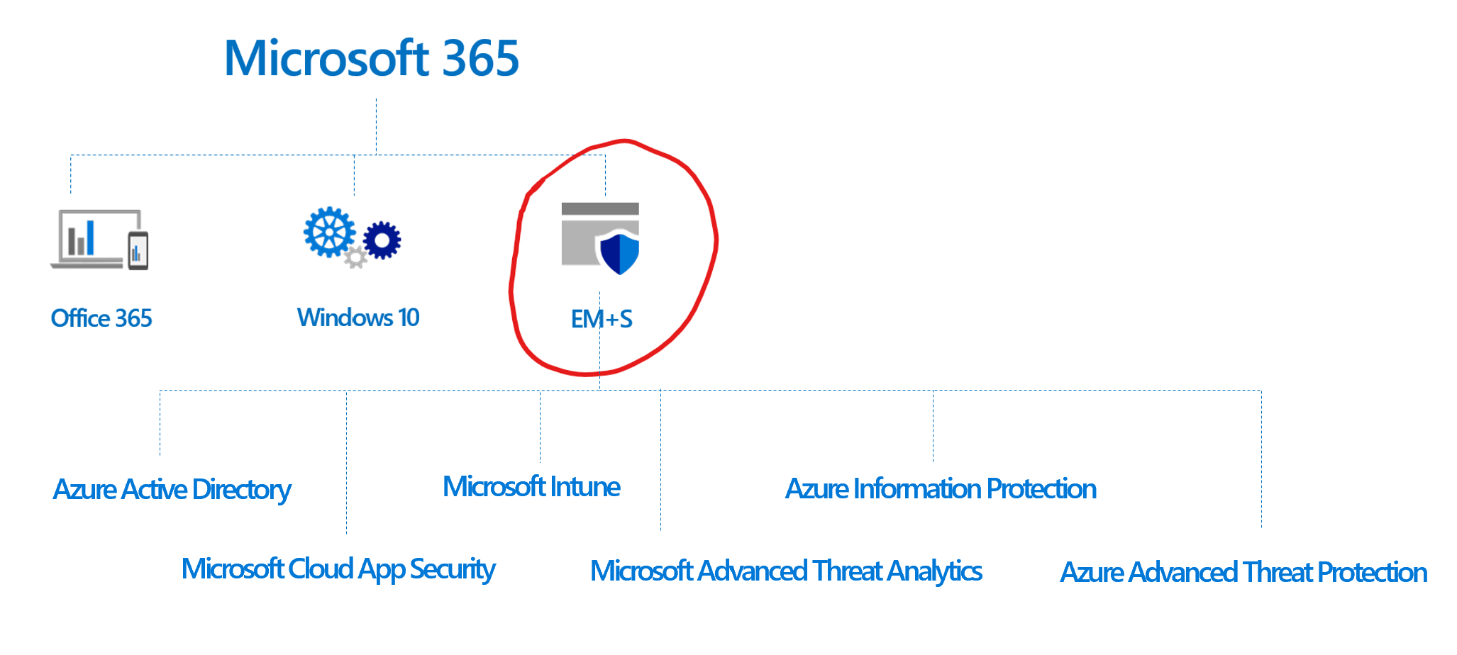 Microsoft EMS Features