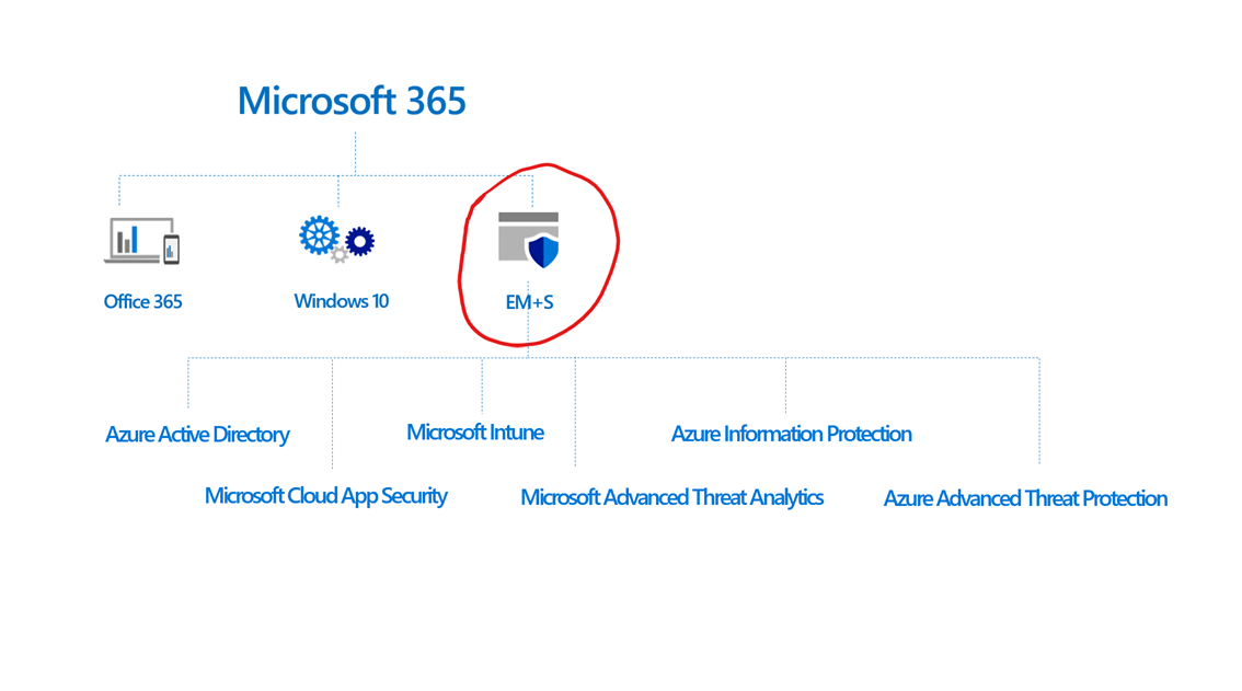 o365 vs m365