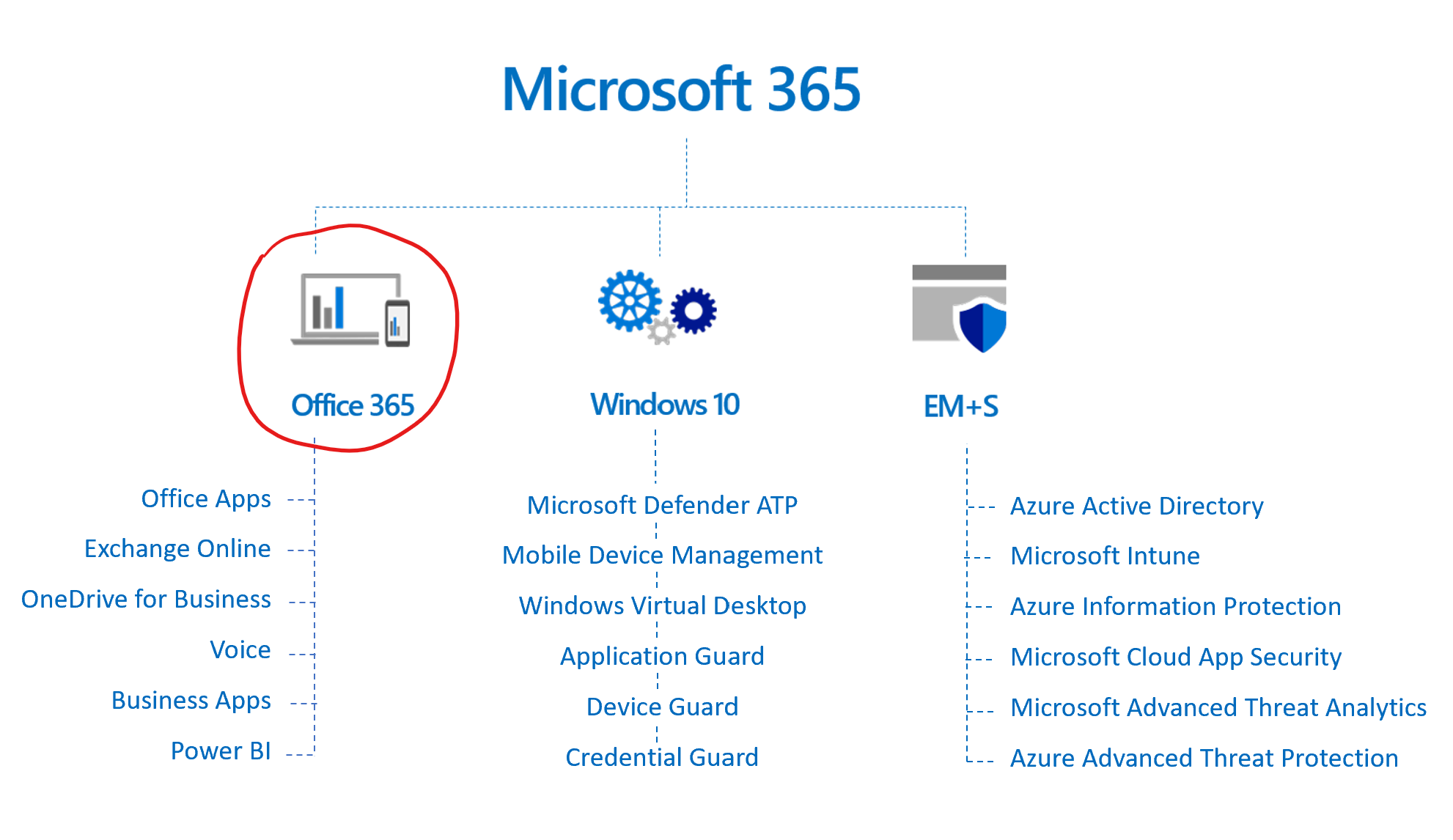 Microsoft 365 Features
